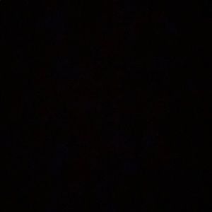 Meet your Posher, Gigi